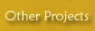 Other Projects