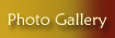 Photo Gallery